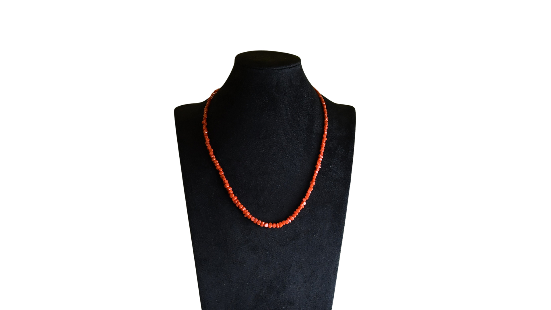 Шүрэн зүүлт